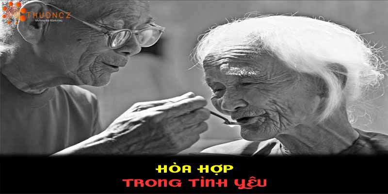 Cuộc đời này, bạn không tìm người thích hợp, mà tìm người phù hợp để cùng nhau cố gắng. Bởi những thứ quá hoàn hảo, hoặc bước đi trên con đường quá phẳng phiu, thường không lưu giữ quá nhiều.