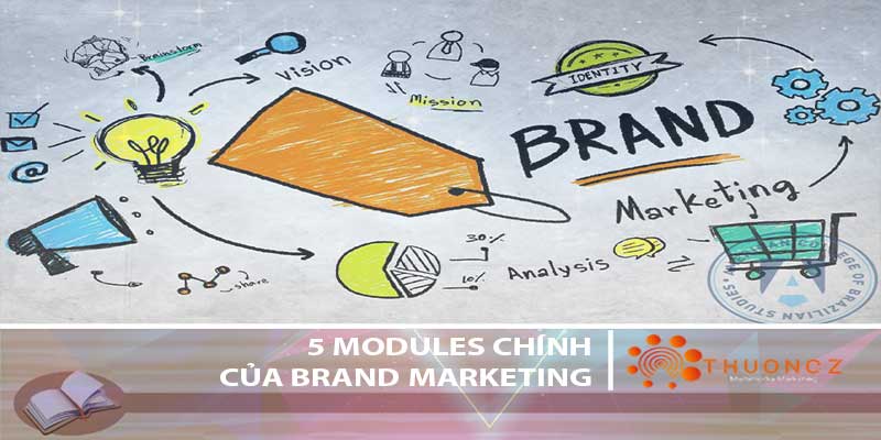 Xây dựng thương hiệu không chỉ là tuyên ngôn định vị hay logo đẹp, slogan hay. Theo đó, Brand Marketing có thể được chia làm 5 hoạt động chủ yếu sau